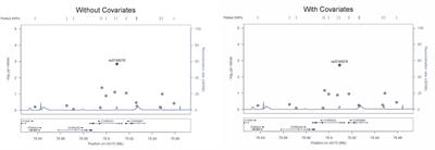 A Variant in the Nicotinic Acetylcholine Receptor Alpha 3 Subunit Gene Is Associated With Hypertension Risks in Hypogonadic Patients